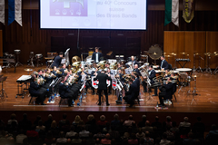 Concours Suisse des Brass Bands 2014